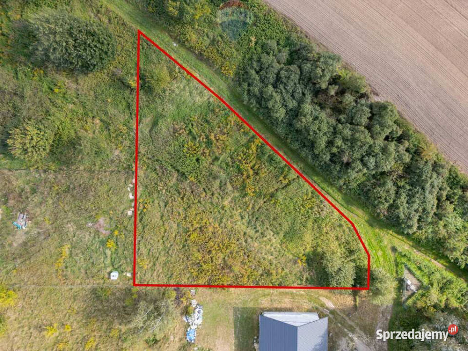 Działka budowlana koło Poznania jezioro i las utwardzona wielkopolskie Uzarzewo