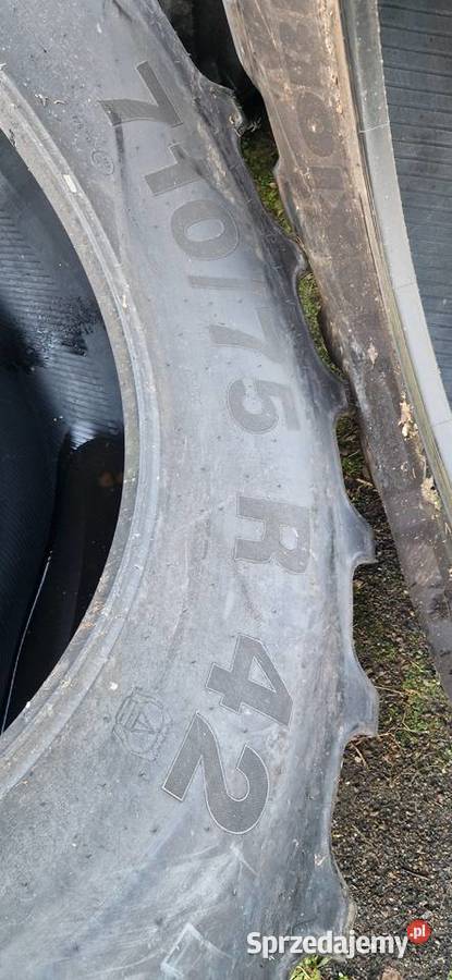 71075r42 7107542 Mitas Nowe Nowe Miasto Lubawskie