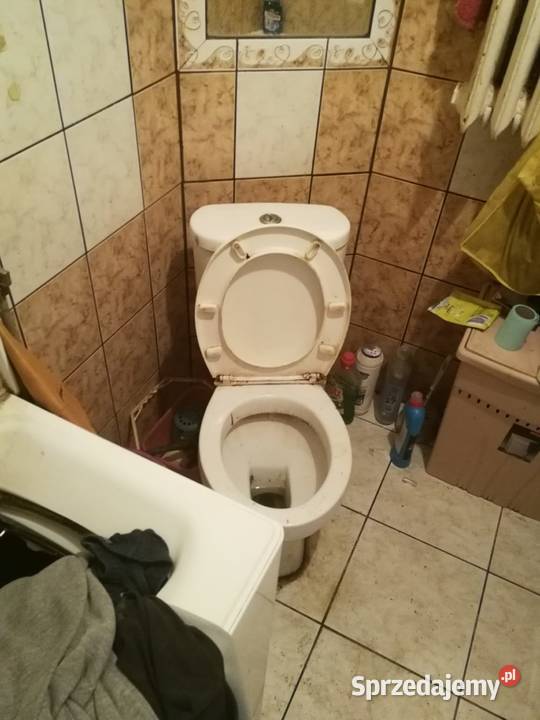 Likwidacje i opróżnianie mieszkań Gniezno Vector wielkopolskie