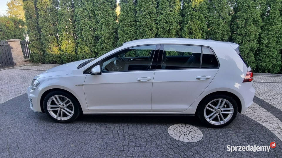 Volkswagen Golf GTD DSG 20 184 Bogata Wersja lakier metallic Motoryzacja mazowieckie Płońsk