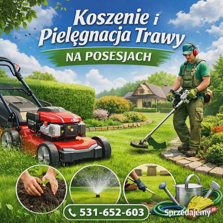 Koszenie pielęgnacja trawy Kraków