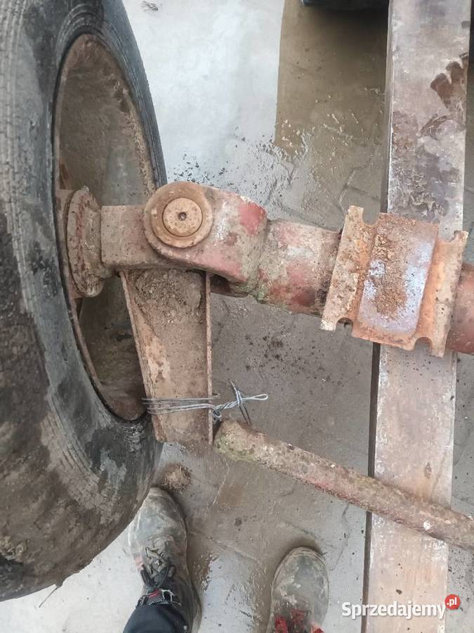 Oś skrętna Pozostałe Ciszyca Przewozowa