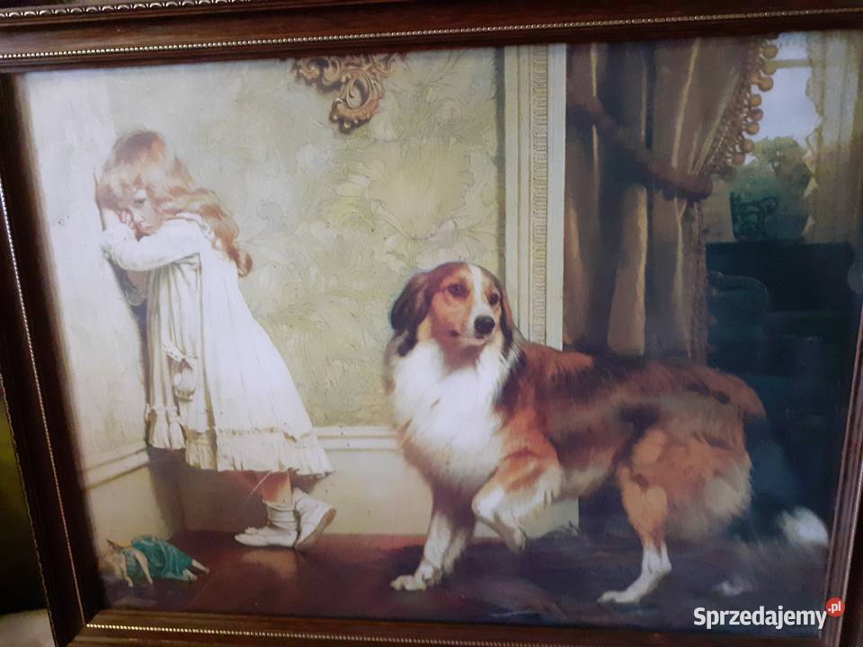 To co na zdjęciu mazowieckie sprzedam