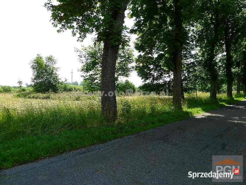 Sprzedaż działki 5000m2 Kołczewo okolica 2 5000m2 zachodniopomorskie