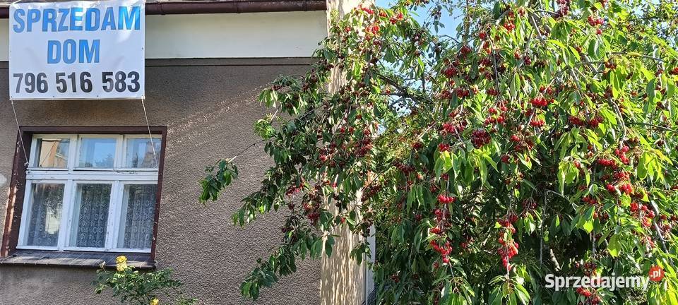 Sprzedam Dom z 2 Mieszkaniami i 2 Garażami wolnostojący Zielona Góra