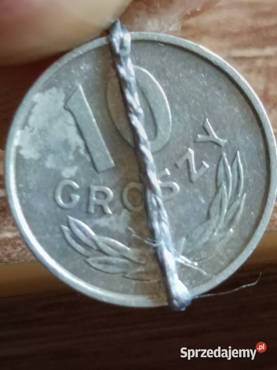 Sprzedam 10 gr 1976 r skretka Chełm sprzedam