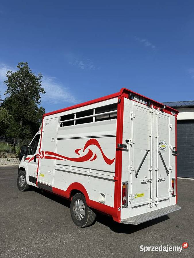 Bydlarka peugeot boxer Nowy Targ