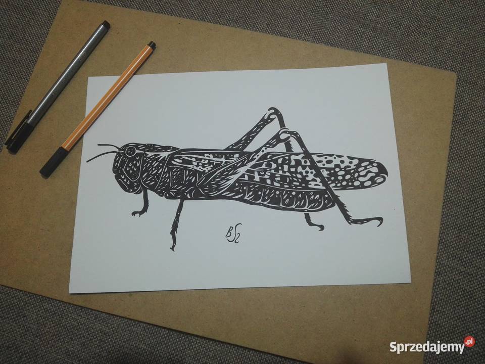 Rysunek pasikonik cienkopis A4 250gm2 Warszawa