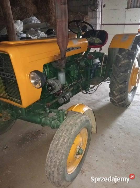 Sprzedam staruszka lubuskie Sulechów