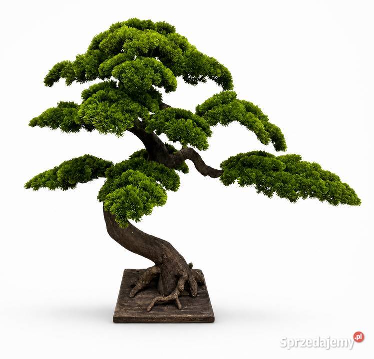 Sztuczne drzewko bonsai 120 x 120 nowoczesna małopolskie Golkowice