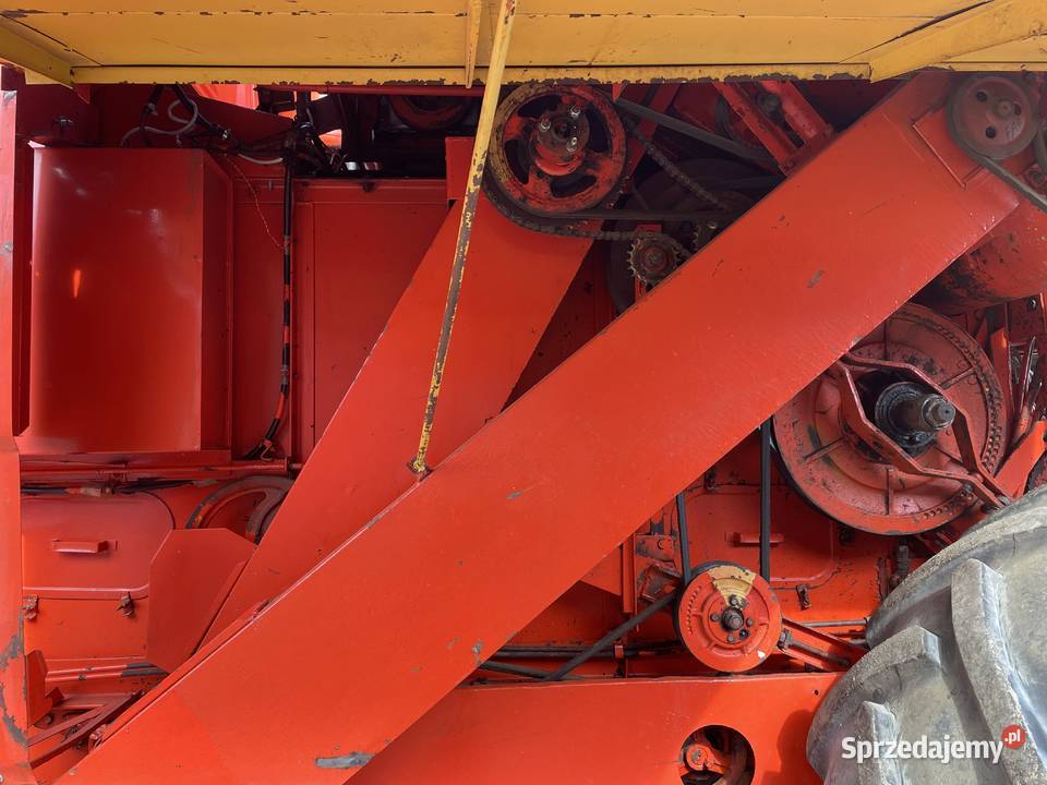 Bizon małopolskie sprzedam