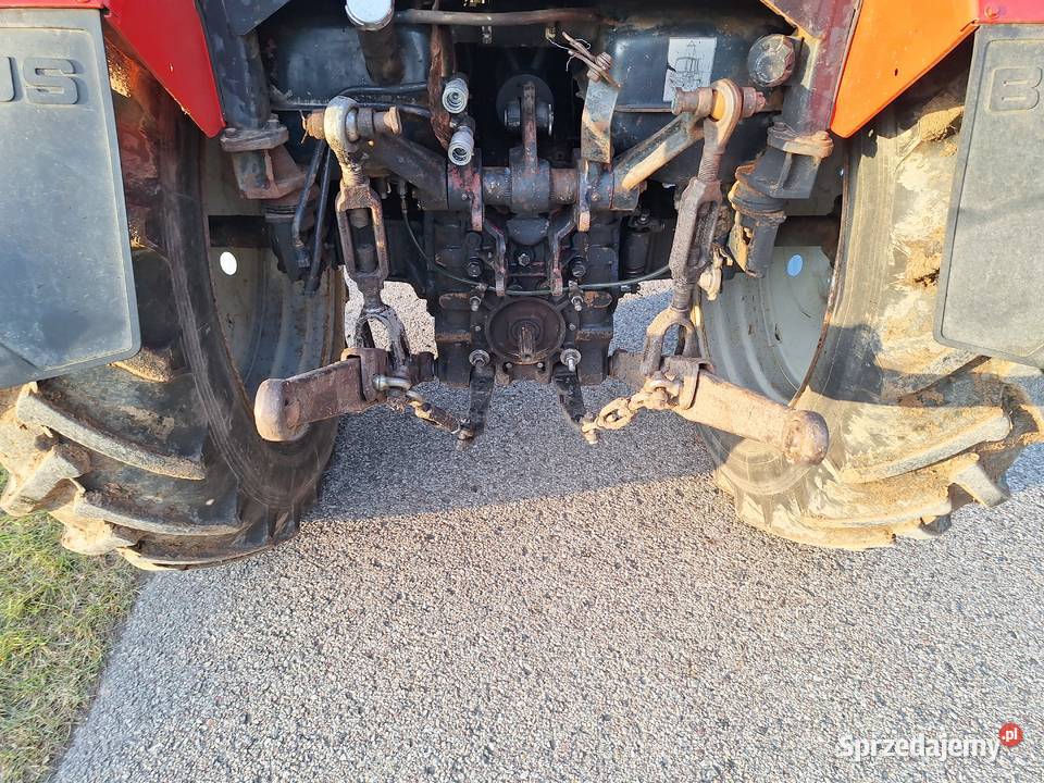Mtz podlaskie Sejny