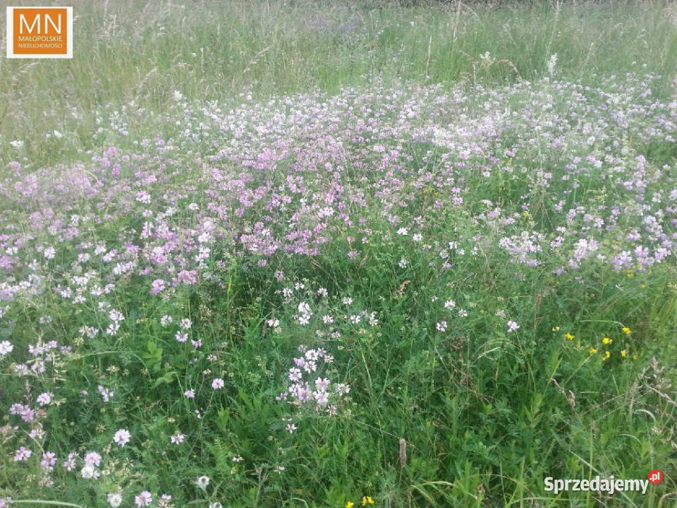 sprzedaży gruntu Wronin 1560m2 małopolskie
