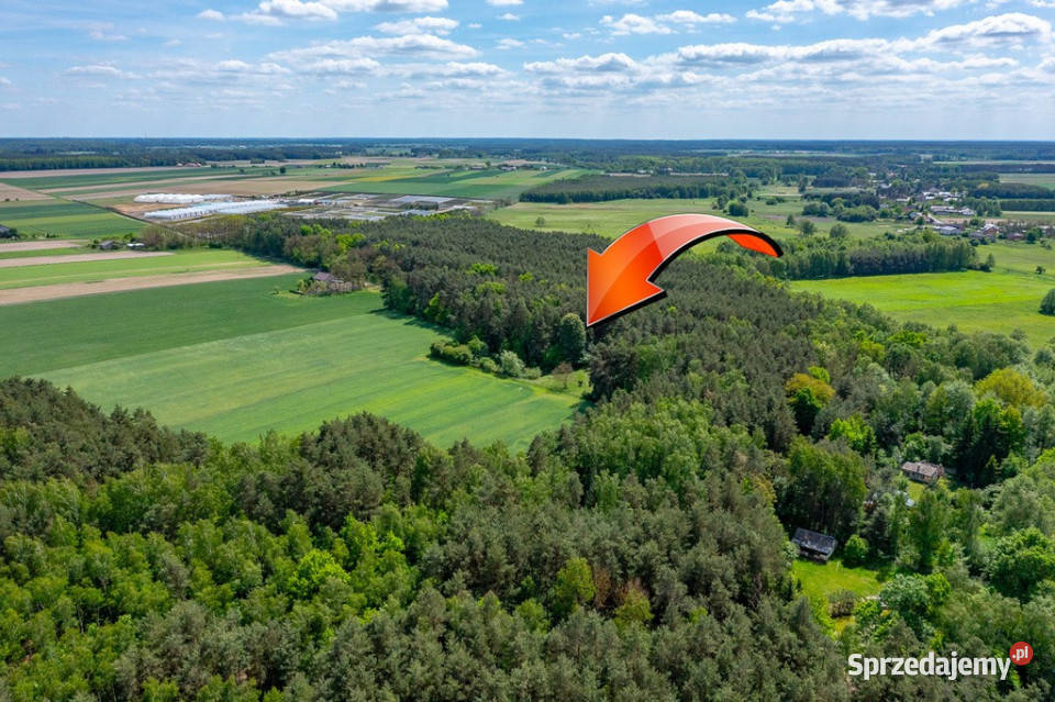 Budowlana 2300 m ze stawem i zielenią Góry Prusinowskie