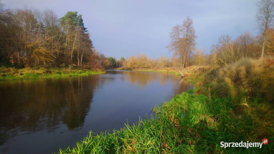 Sprzedam działkę budowlaną o pow 1093 m2 z Nieruchomości Popielżyn-Zawady