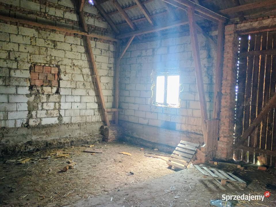 Wynajmę teren z zabudowaniami gospodarczymi Zamorze