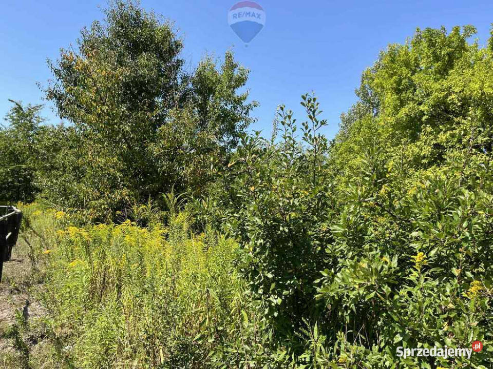 Działka jeszcze rolna rezerwacie Łoś