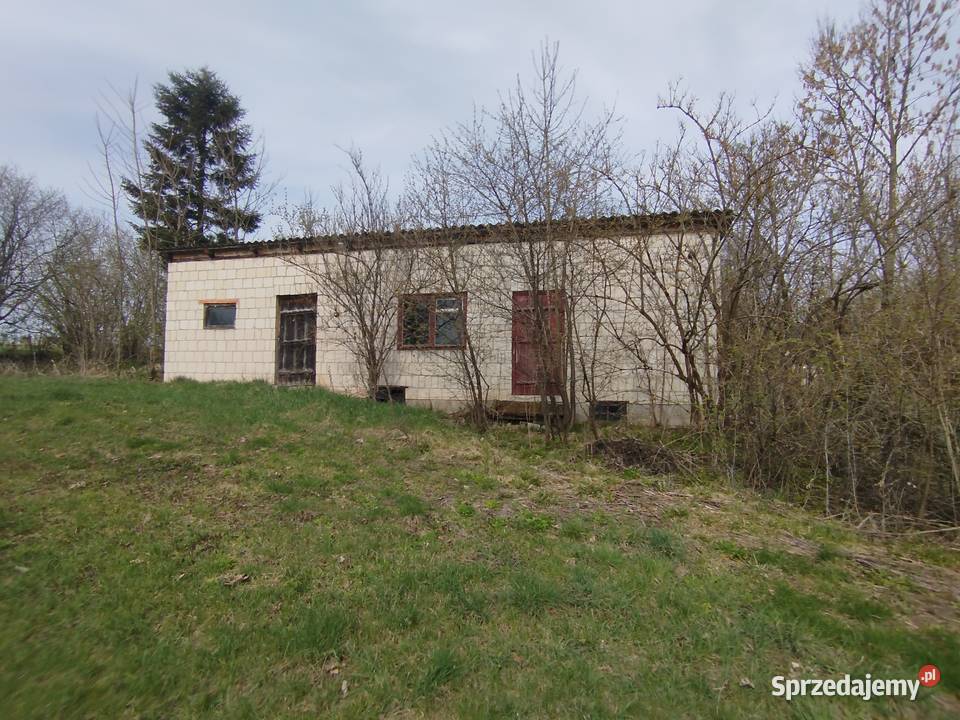 Sprzedam siedlisko z polem ornym klasy asfalt Telatyn