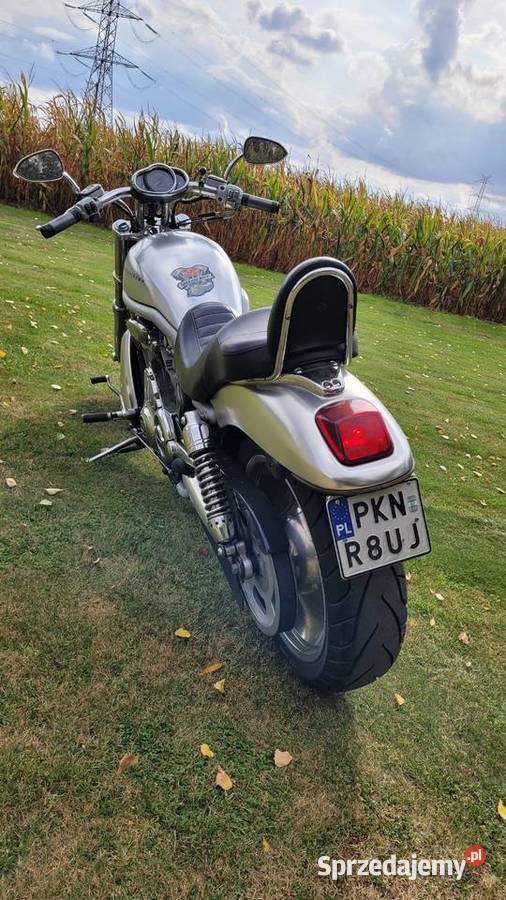 HarleyDavidson VROD 2002 35000km Ślesin