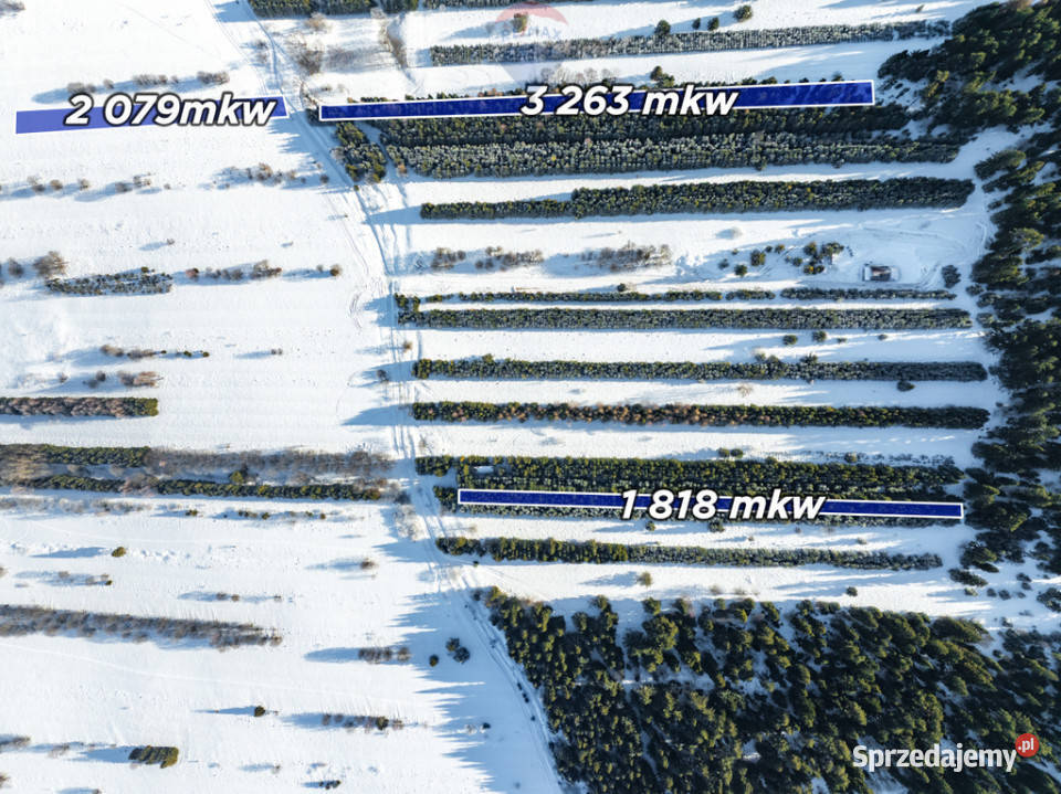 Pakiet działek w Frydmanie polna Frydman