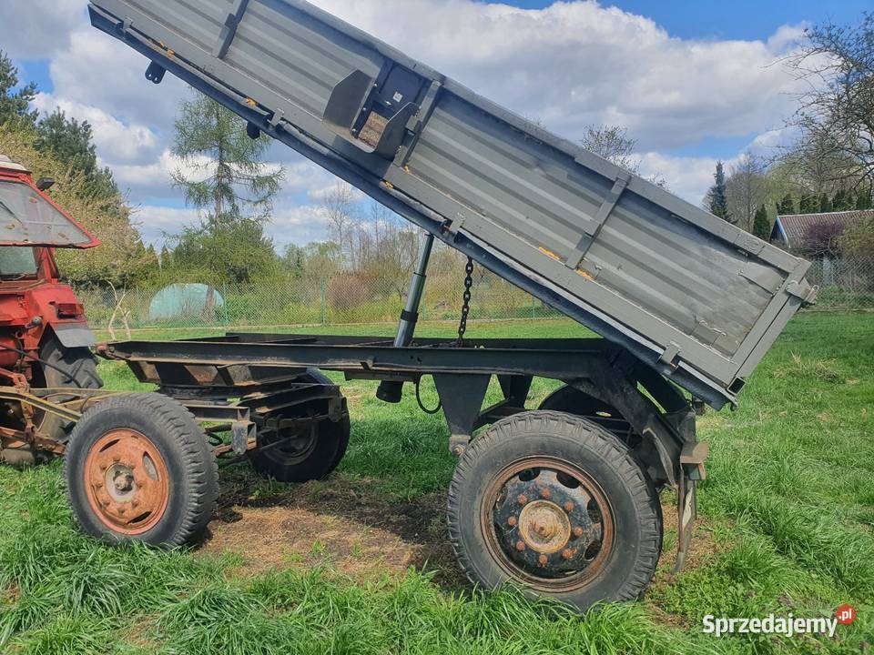 Przyczepa wywrotka ifa thk Giżyn