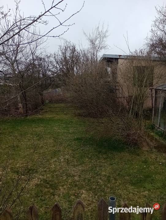 Sprzedam dziłkę ROD MAGNOLIA 300m2 Kielce Pozostałe