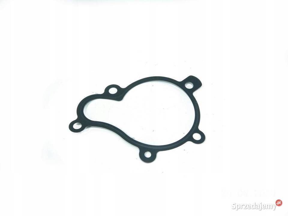 USZCZELKA POMPY WODY ELANTA 06 STANTA FE 12 ASO lubelskie