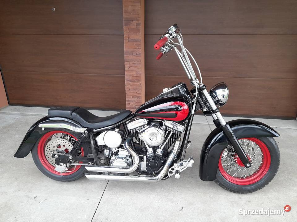 Sucker Lunch Sally Springer Pozostałe