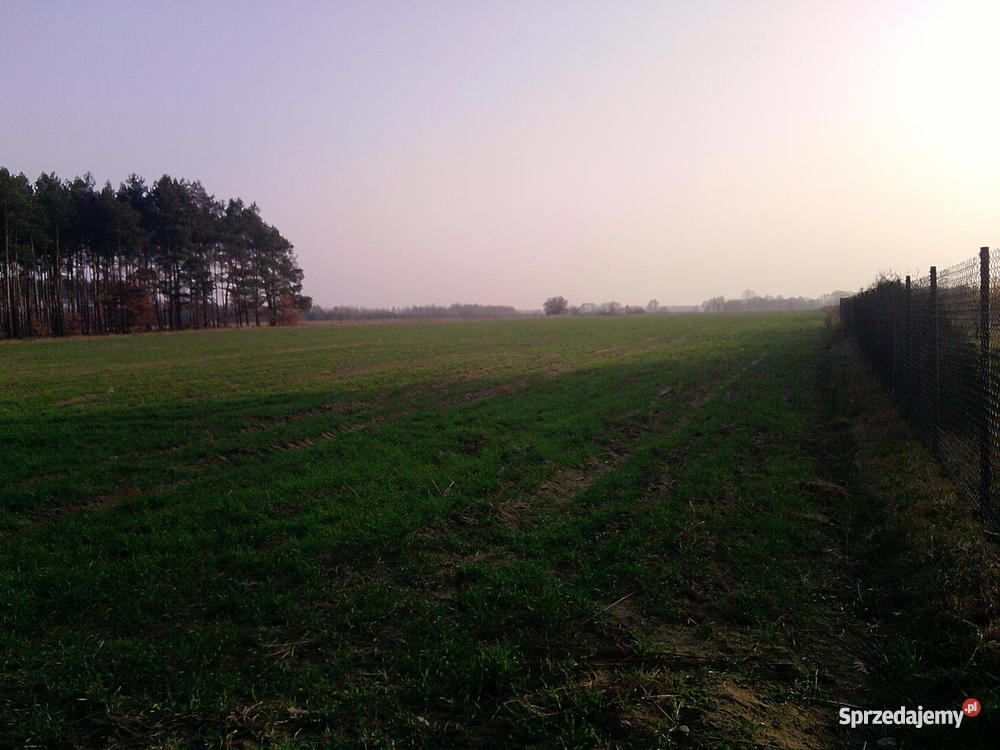 działkę odrolnioną pod zabudowę 11zł/m2 Omięciny