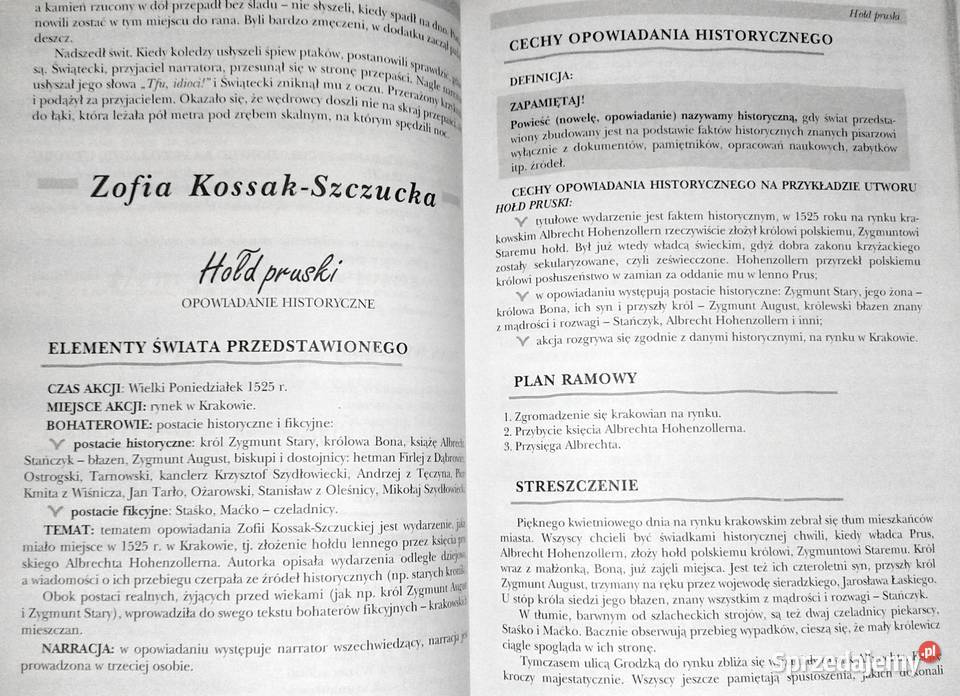 Powtórka z literatury kl 6 Szkoła podstawowa Kultura i Rozrywka Chełm