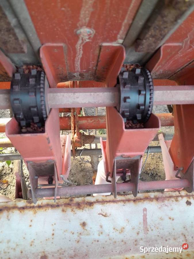 Siewnik zbożowy Same Antoniówka