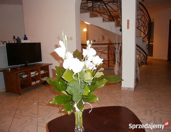 Dom 510 m2 w centrum Różana Różan