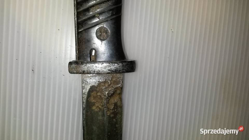 Bagnet Niemiecki Poznań