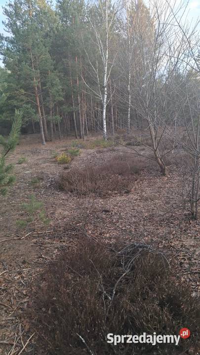 Sprzedam działkę rekreacyjną 3780m2 Karolówka