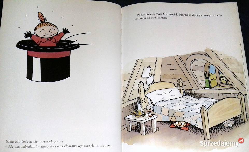 Muminki i niespodzianka Harald Sonesson Chełm