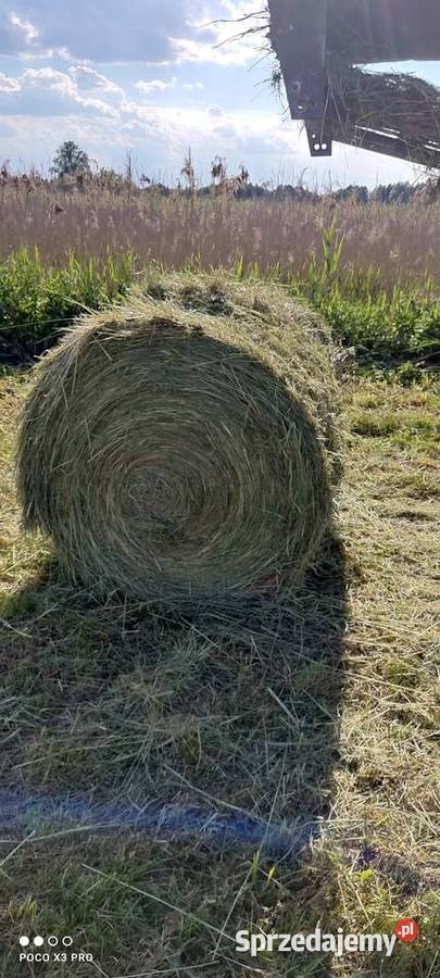 Prasa Hesston 5580 Drzewce