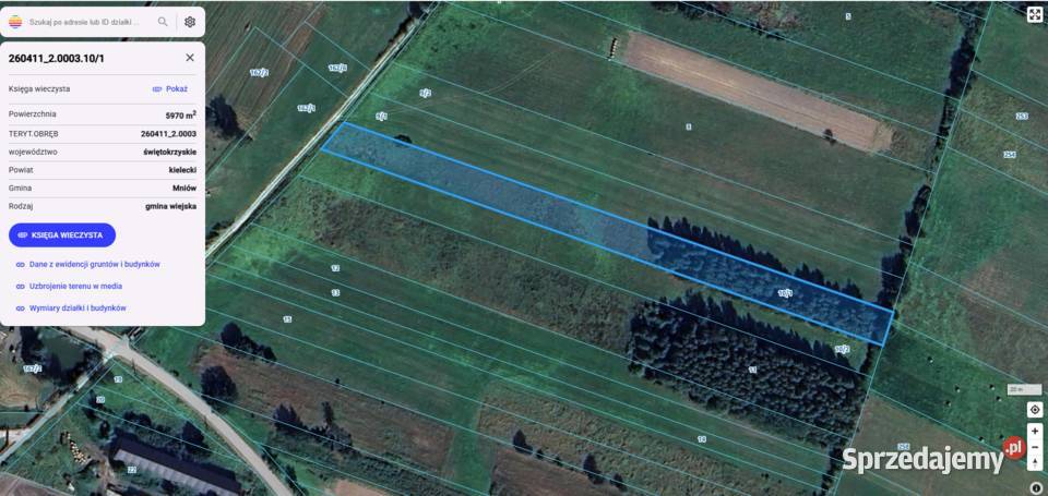 Wydzierżawię pole Cierchy Malmurzyn gmina Mniów rolna