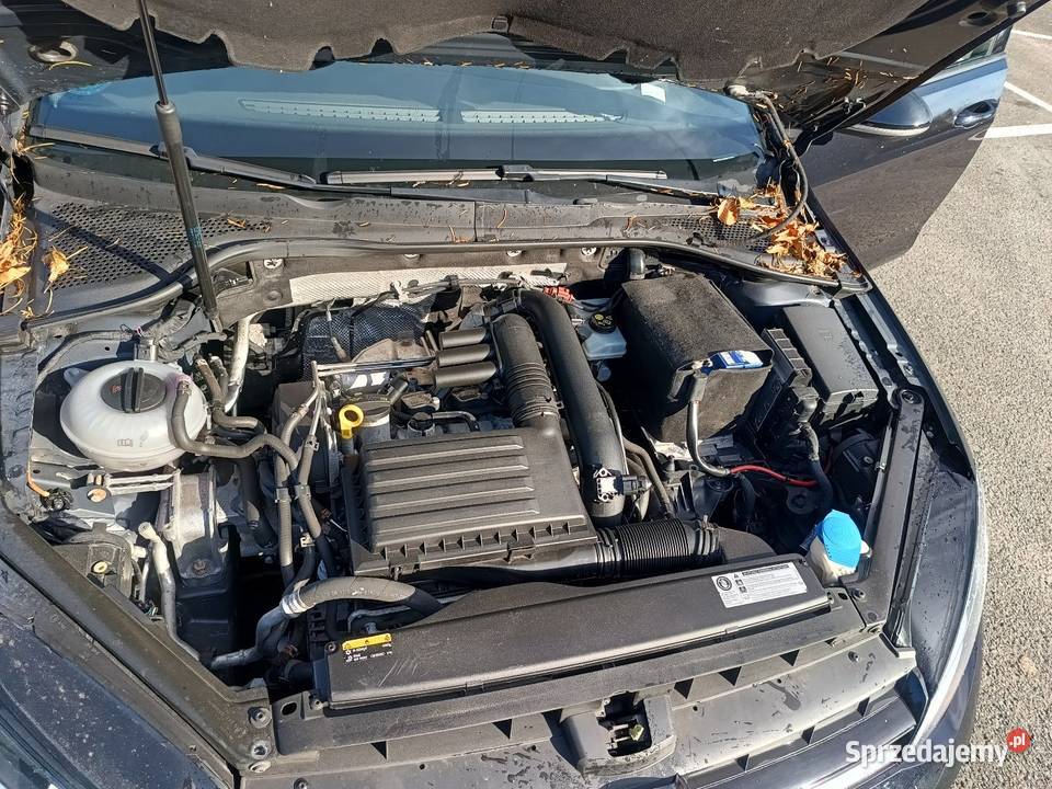 Volkswagen Golf Allstar 2017 Skoczów