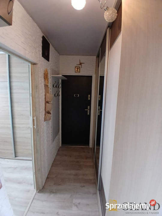 Mieszkanie Stargard 408m2 2pokojowe sprzedam