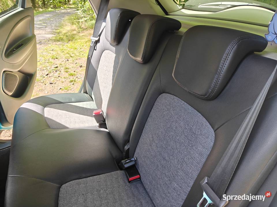 RENAULT R135 ZE 50 Intens 52 kWh 2019 135 światła do jazdy dziennej Wisła