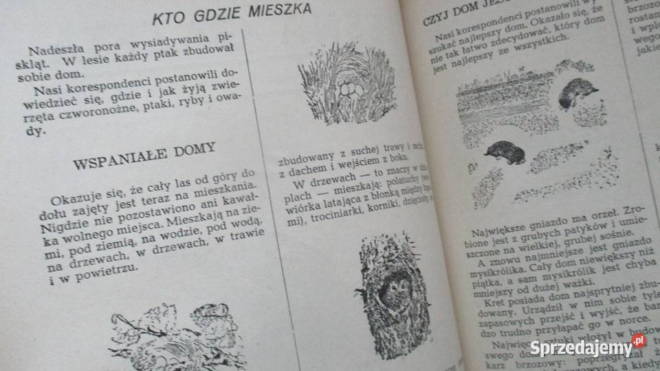 Leśna GazetaWitali Bianki przyroda las 1953 sprzedam
