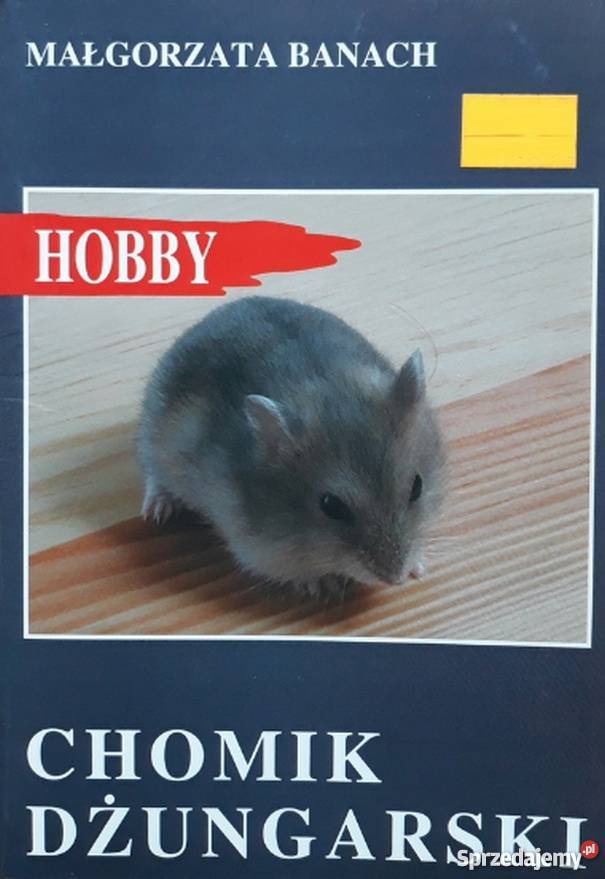 CHOMIK DŻUNGARSKI BANACH MAŁGORZATA Jelenia Góra sprzedam
