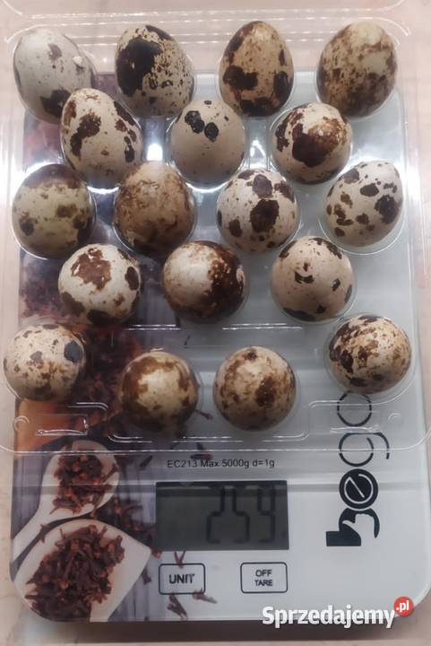 Jaja przepiórcze Bielsk Podlaski sprzedam