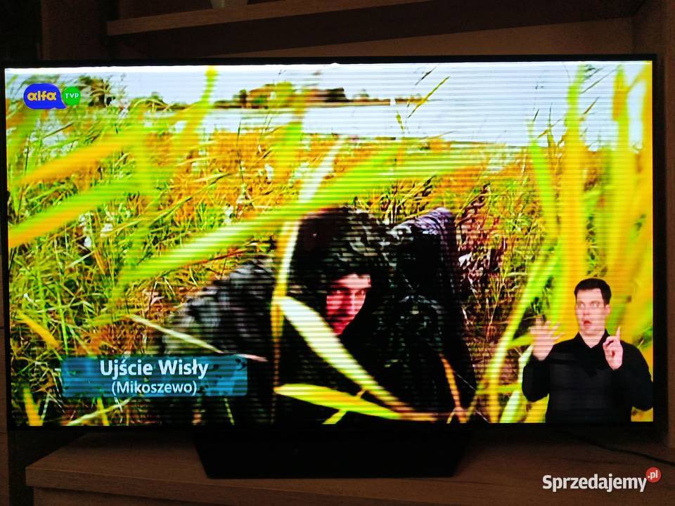 LG OLED55B9SLA Maszkienice