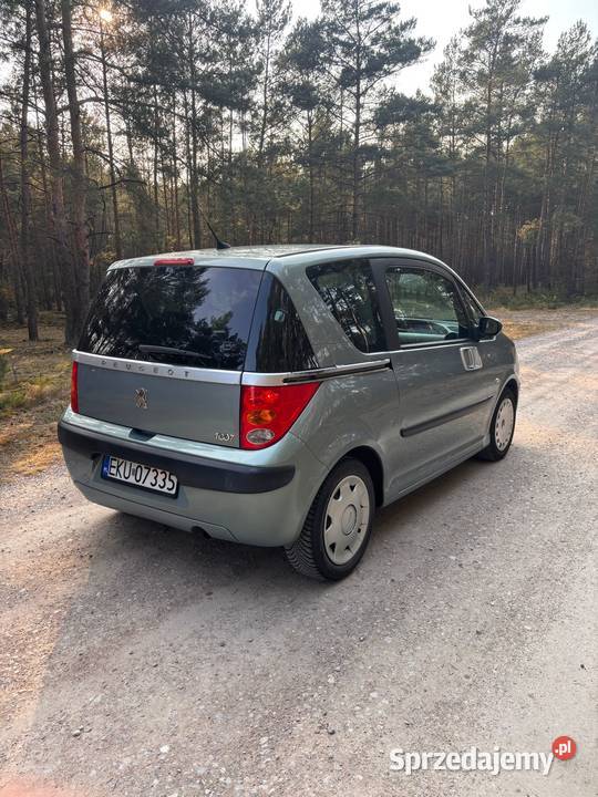 Peugeot 1007 2006 Gostynin