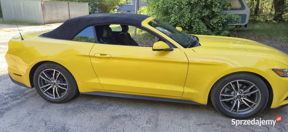 Ford Mustang 23 310 koni cabrio w pięknym Mrozy