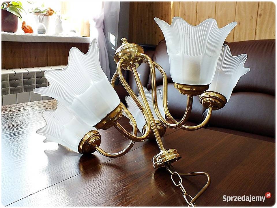 Złoty Żyrandol 5 ramienny Tulipany Lampa wisząca Żary