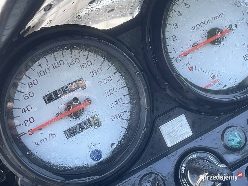 Honda Hornet klasyk zachodniopomorskie Białogard