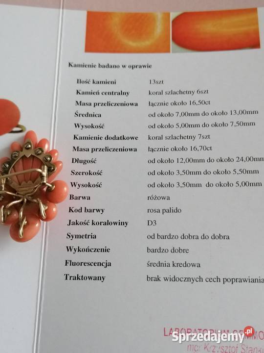 Broszka Koral Antyk Złoto IXX w podlaskie Białystok