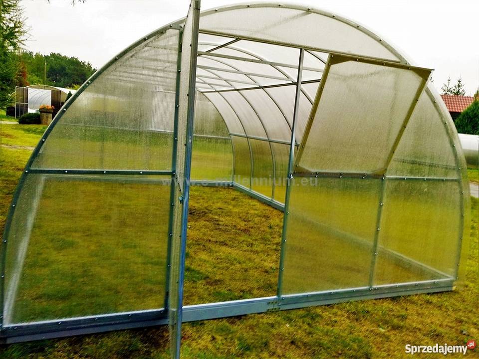 Szklarnia Primus 4x16m 64m2 H230 poliwęglan 4mm Rośliny